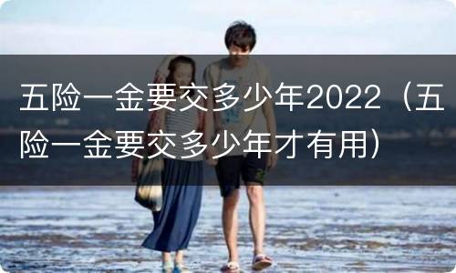 五险一金要交多少年2022（五险一金要交多少年才有用）