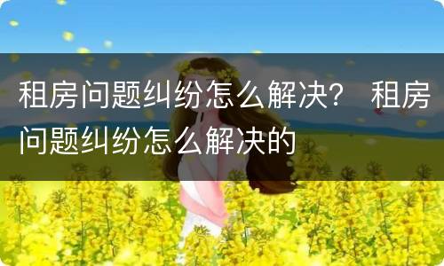 租房问题纠纷怎么解决？ 租房问题纠纷怎么解决的