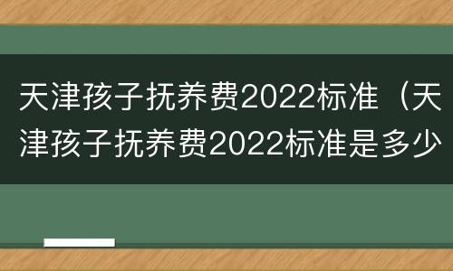 天津孩子抚养费2022标准（天津孩子抚养费2022标准是多少钱）