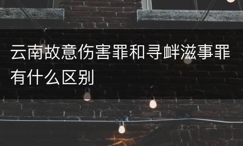 云南故意伤害罪和寻衅滋事罪有什么区别