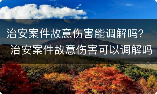 治安案件故意伤害能调解吗？ 治安案件故意伤害可以调解吗