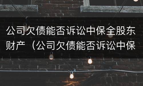 公司欠债能否诉讼中保全股东财产（公司欠债能否诉讼中保全股东财产）