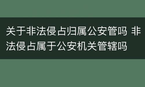 关于非法侵占归属公安管吗 非法侵占属于公安机关管辖吗
