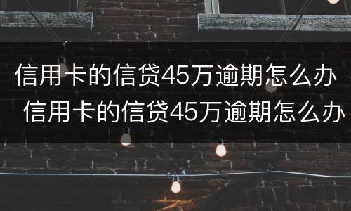 信用卡的信贷45万逾期怎么办 信用卡的信贷45万逾期怎么办呢