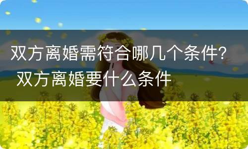 双方离婚需符合哪几个条件？ 双方离婚要什么条件