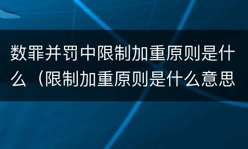 数罪并罚中限制加重原则是什么（限制加重原则是什么意思）