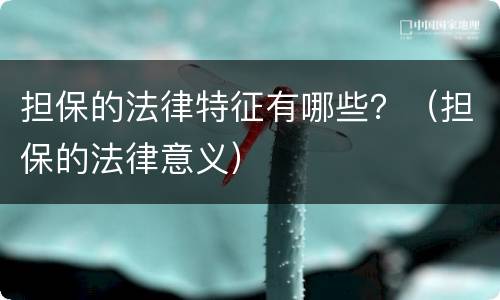 担保的法律特征有哪些？（担保的法律意义）