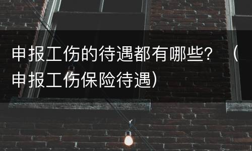 申报工伤的待遇都有哪些？（申报工伤保险待遇）
