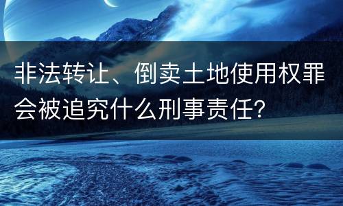非法转让、倒卖土地使用权罪会被追究什么刑事责任？