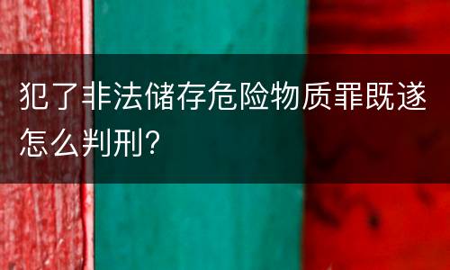 犯了非法储存危险物质罪既遂怎么判刑?