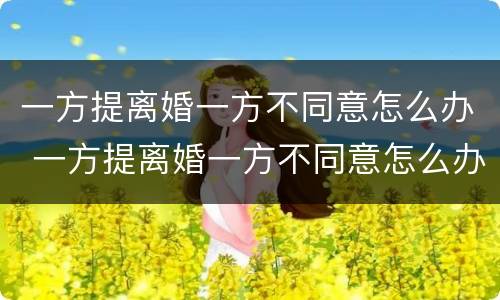 一方提离婚一方不同意怎么办 一方提离婚一方不同意怎么办手续