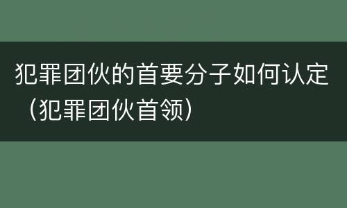 犯罪团伙的首要分子如何认定（犯罪团伙首领）