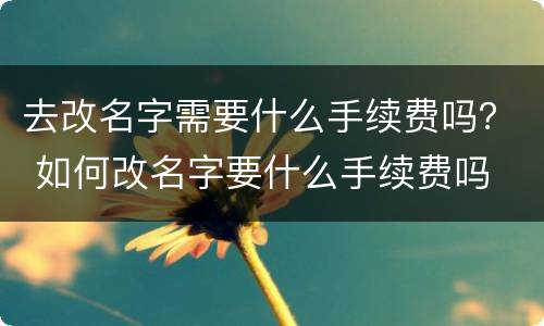 去改名字需要什么手续费吗？ 如何改名字要什么手续费吗