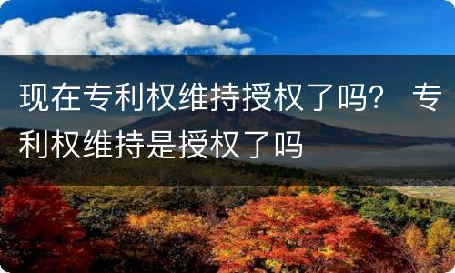 现在专利权维持授权了吗？ 专利权维持是授权了吗