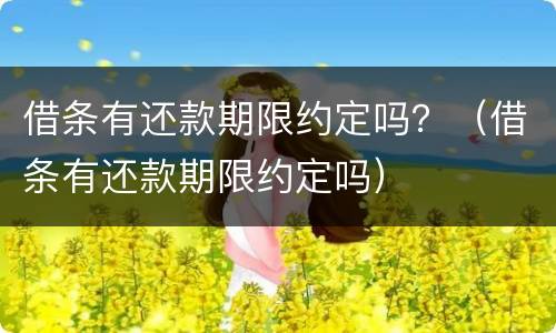 借条有还款期限约定吗？（借条有还款期限约定吗）