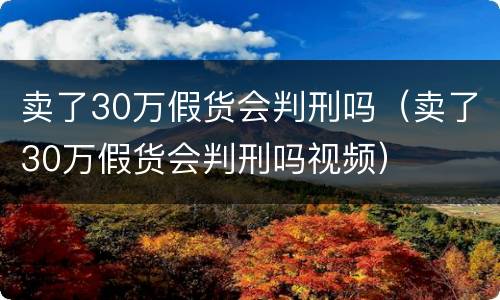 卖了30万假货会判刑吗（卖了30万假货会判刑吗视频）