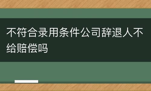 不符合录用条件公司辞退人不给赔偿吗