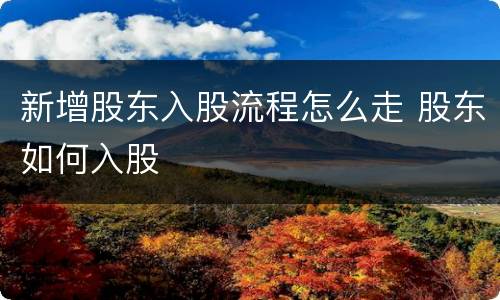新增股东入股流程怎么走 股东如何入股