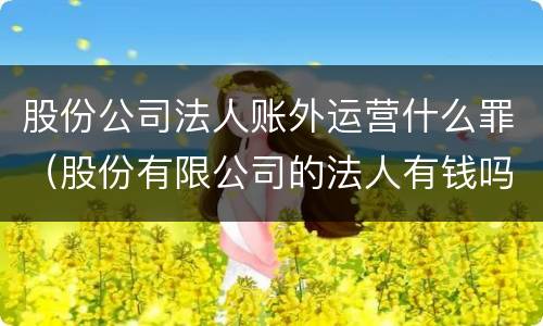 股份公司法人账外运营什么罪（股份有限公司的法人有钱吗）