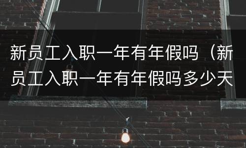 新员工入职一年有年假吗（新员工入职一年有年假吗多少天）
