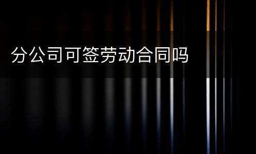 分公司可签劳动合同吗