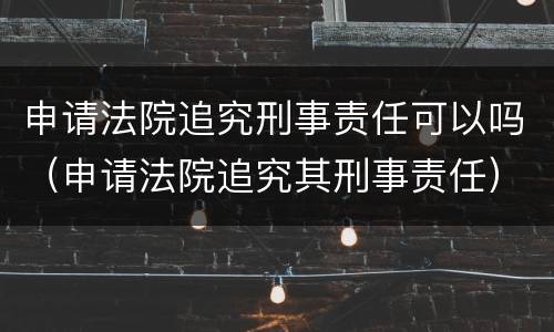 申请法院追究刑事责任可以吗（申请法院追究其刑事责任）