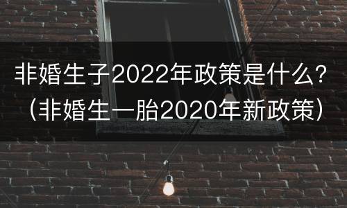 非婚生子2022年政策是什么？（非婚生一胎2020年新政策）