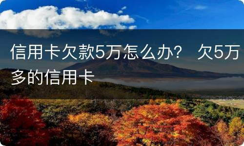 信用卡欠款5万怎么办？ 欠5万多的信用卡