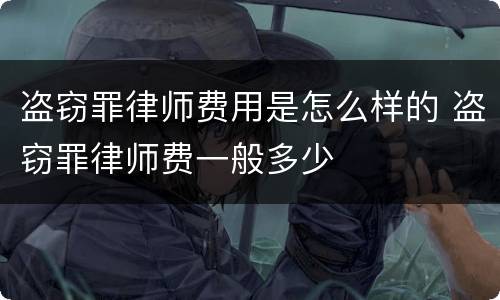 盗窃罪律师费用是怎么样的 盗窃罪律师费一般多少