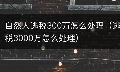 自然人逃税300万怎么处理（逃税3000万怎么处理）