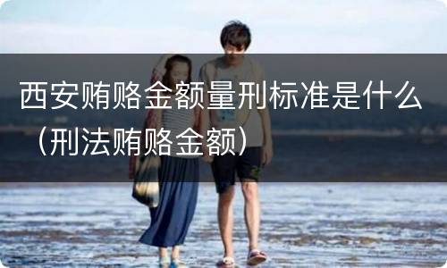 西安贿赂金额量刑标准是什么（刑法贿赂金额）