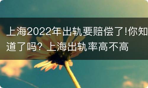 上海2022年出轨要赔偿了!你知道了吗? 上海出轨率高不高