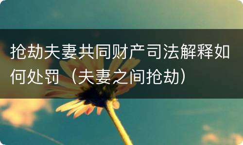 抢劫夫妻共同财产司法解释如何处罚（夫妻之间抢劫）