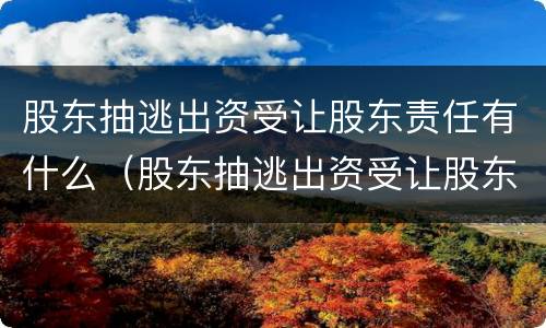 股东抽逃出资受让股东责任有什么（股东抽逃出资受让股东责任有什么规定）