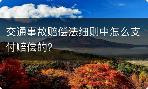 交通事故赔偿法细则中怎么支付赔偿的？