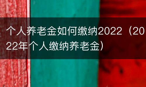 个人养老金如何缴纳2022（2022年个人缴纳养老金）