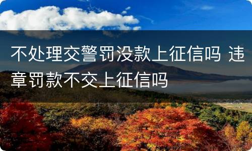 不处理交警罚没款上征信吗 违章罚款不交上征信吗