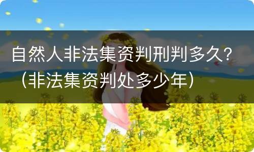 自然人非法集资判刑判多久？（非法集资判处多少年）