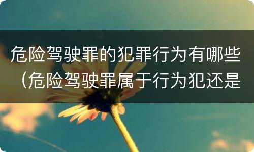 危险驾驶罪的犯罪行为有哪些（危险驾驶罪属于行为犯还是危险犯）