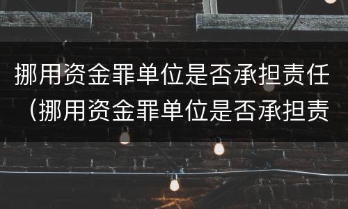 挪用资金罪单位是否承担责任（挪用资金罪单位是否承担责任的规定）