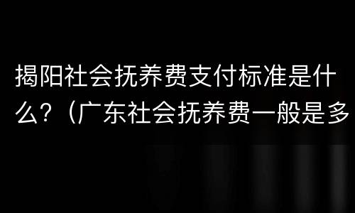 揭阳社会抚养费支付标准是什么?（广东社会抚养费一般是多少）