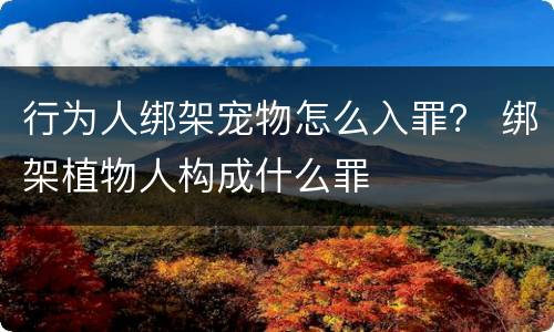 行为人绑架宠物怎么入罪？ 绑架植物人构成什么罪
