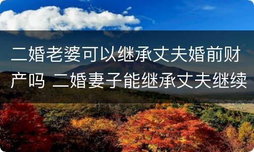 二婚老婆可以继承丈夫婚前财产吗 二婚妻子能继承丈夫继续的遗产吗?