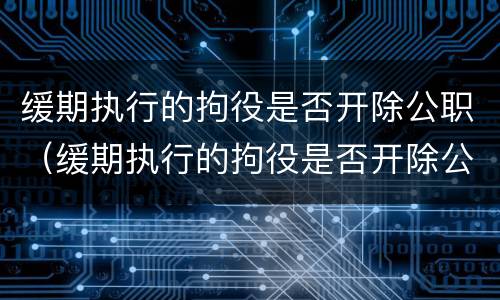 缓期执行的拘役是否开除公职（缓期执行的拘役是否开除公职人员）