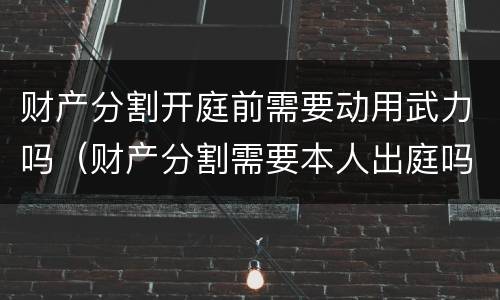 财产分割开庭前需要动用武力吗（财产分割需要本人出庭吗）