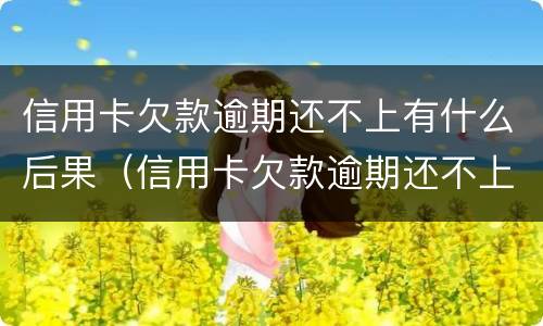 信用卡欠款逾期还不上有什么后果（信用卡欠款逾期还不上有什么后果吗）