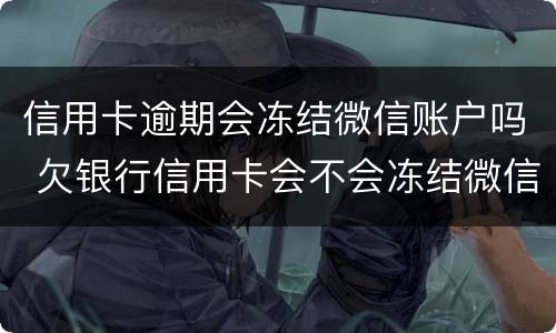 信用卡逾期会冻结微信账户吗 欠银行信用卡会不会冻结微信
