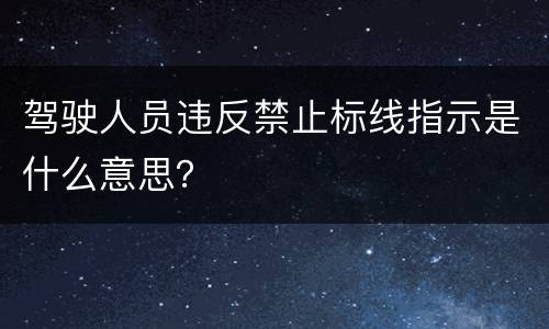 驾驶人员违反禁止标线指示是什么意思？