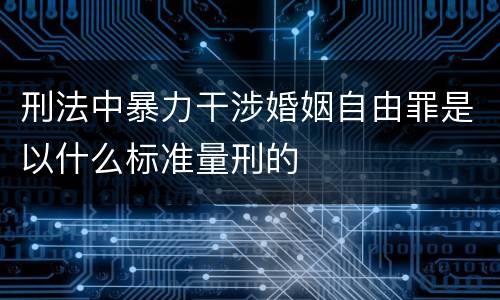 刑法中暴力干涉婚姻自由罪是以什么标准量刑的
