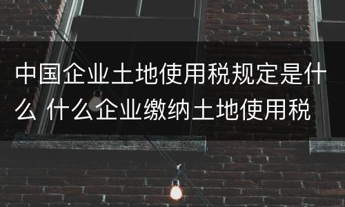 中国企业土地使用税规定是什么 什么企业缴纳土地使用税